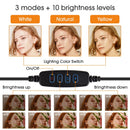 Dimmbares Ringlicht Selfie LED runde Lampen USB mit Telefonhalter 1,6 m Stativ für Tiktok-Videolicht-Make-up-Fotografie-Set