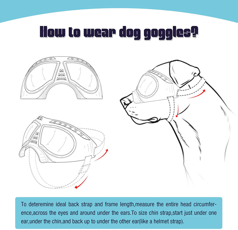 Cool Dog Gafas de sol Protección UV Gafas a prueba de viento Pet Eye Wear Dog Natación Patinaje Gafas Accesorios para mascotas