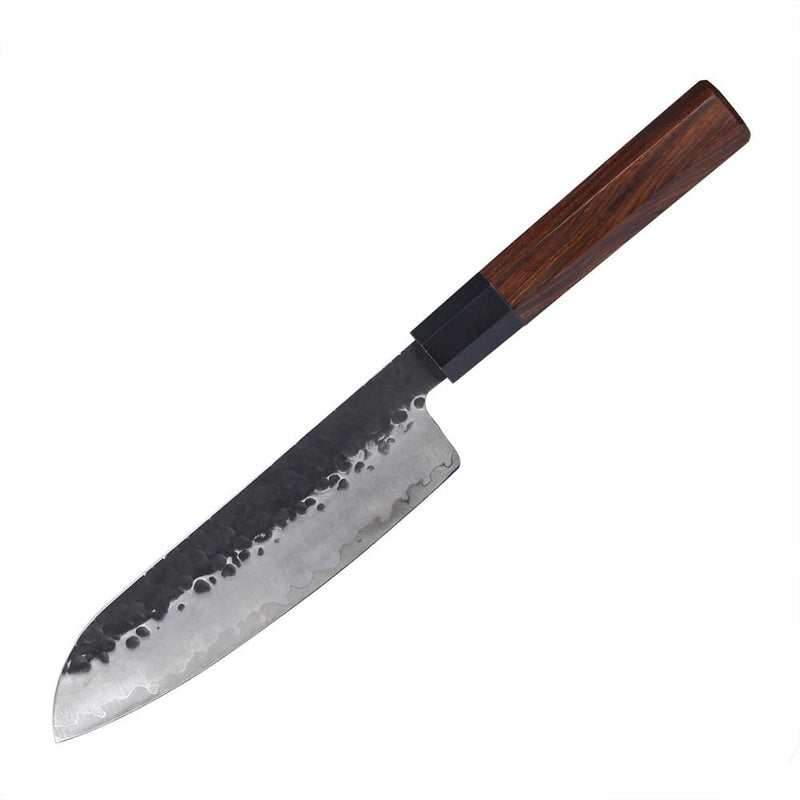 Cuchillos de cocina japoneses profesionales de acero revestido hechos a mano, cuchillo de Chef, cuchillo Nakiri, cuchillo de carnicero, cuchillo de Sushi, cuchillos de utilidad, cortador