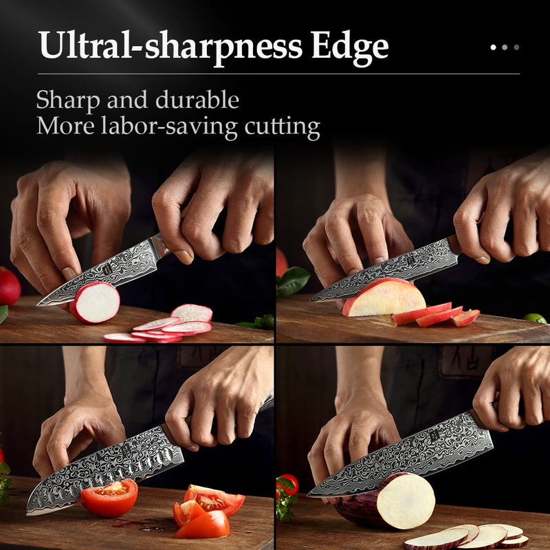 XINZUO 6PCS Kitchen Knives Sets High Carbon Japanese Style VG10 Damascus Steel Chef Santoku Bread Utility Knife Pakkawood Handle