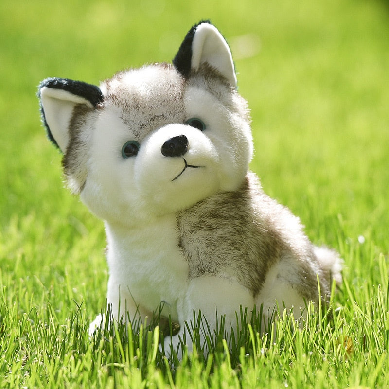 20-30cm cute husky dog plush toy wolf soft stuffed animal cute plush kawaii children doll fluffy birthday gift child boy WJ131