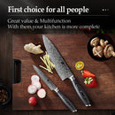 XINZUO 2PCS Kitchen Knives Set 67 Layers Damascus High Carbon 8'' Chef &5'' Utility Knife Stainless Steel with Pakkawood Handle