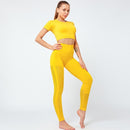 Conjunto de Yoga sin costuras para mujer, ropa de Fitness, conjunto de gimnasio de 2 piezas, Top corto, Leggings, conjunto deportivo para mujer, ropa de entrenamiento