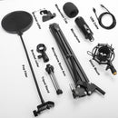 Metall-USB-Mikrofon, Kondensator-Aufnahmemikrofon D80 Mic mit Ständer für Computer-Laptop-PC-Karaoke-Studio-Aufnahme