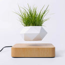 Floating Geometric Magnetic Levitating Flower Pot Bonsai Creative Humidifier Self Watering Planter Home Office Desk Decor DHL