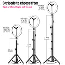 LED Ring Light 16/20/26cm 5600K Dimmable Selfie Ring Lamp With Tripod Phone Holder USB Plug Photo Studio Photography Lighting