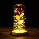 LED Enchanted Galaxy Rose Eternal 24K Gold Foil Flower with String Lights In Dome for Home Decor Christmas Valentine&