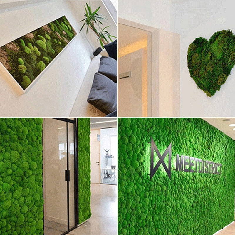 200g/bag  artificial green plants immortal fake flower Moss grass home garden decorative wall DIY flower grass accessories