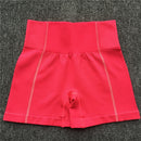 Yoga Set Women Sleeveless Sport Suit Workout Gym Clothes Fitness Sports Bra High Waist Shorts 2 Piece Utra Seamless Sportswear