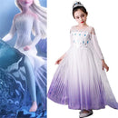 Girl's Princess Frozen Snow Queen Elsa Party Cosplay Costume Dress