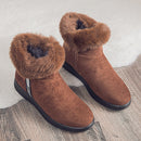 Winter Snow Ankle Boots For Women Casual Woman Shoe Suede Winter Boots Zipper Female Plush Furry Boots Platform Botas Mujer