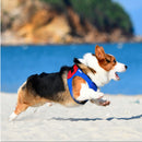 Superhero Series Dog Cat Harness Pet Adjustable Vest Walking Lead Leash for Puppy Harness for Small Medium-sized Dogs Cats