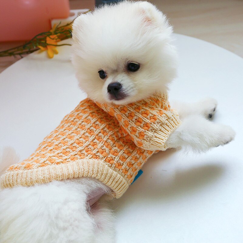 PETCIRCLE New Dog Puppy Clothes Orange Wafer Sweater Pet Cat Fit Small Dog Spring and Autumn Pet Cute Costume Dog Cloth Sweater