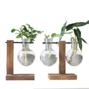 Glass Wood Vase Planter Terrarium Table Desktop Hydroponics Plant Bonsai Hanging Flower Pot with Wooden Tray Home Decoration