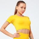 Conjunto de Yoga sin costuras para mujer, ropa de Fitness, conjunto de gimnasio de 2 piezas, Top corto, Leggings, conjunto deportivo para mujer, ropa de entrenamiento