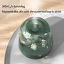 Deerma 5L Humidifier Transparent Glass Appearance 2 Gear Adjustment Difusor Aromaterapia With Water Filtration For Home