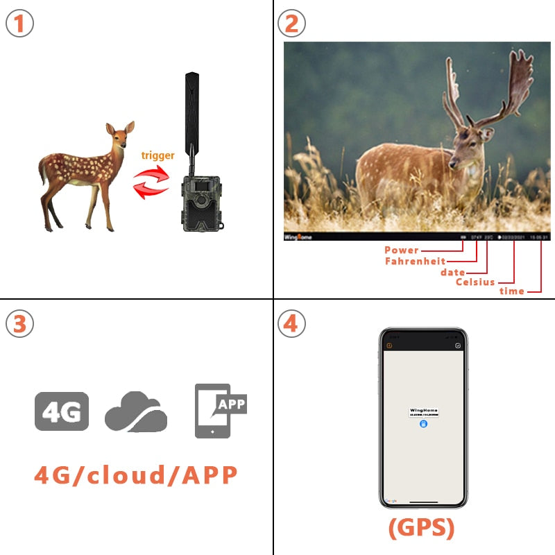 WingHome 480Ace 4G Hunting Trail Camera 24MP HD Cloud APP Camera 940nm IR Forest Wildlife Game Camera with Cloud system  GPS APP