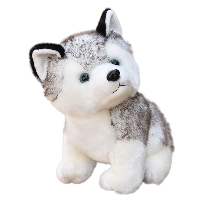 Lindo perro husky de 20-30cm, juguete de peluche de Lobo, animal de peluche suave, lindo muñeco de peluche kawaii para niños, regalo de cumpleaños esponjoso para niño WJ131