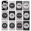 12 Sheet Milestone Baby Photograp Sharing Card Gift Set Baby Age Cards Baby Milestone Cards Baby Photo Cards Newborn Photo props