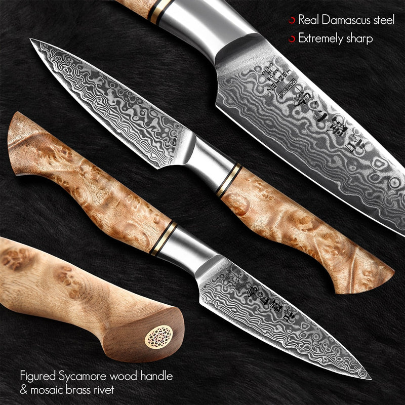 HEZHEN-cuchillo para pelar de 3,5 pulgadas, cuchillo de cocina de acero súper Damasco de 67 capas Real, cuchillo de cocina para frutas con hoja afilada súper antioxidante