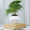 Floating Geometric Magnetic Levitating Flower Pot Bonsai Creative Humidifier Self Watering Planter Home Office Desk Decor DHL