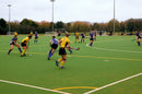 HOCKEY TURF