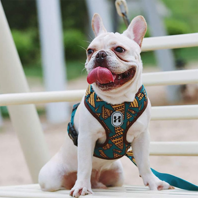 Arnés de nailon para perros y gatos, arnés con estampado de Bulldog francés para cachorros, arneses para perros pequeños, chaleco para Chihuahua, Yorkshire, entrenamiento para caminar