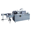 JDZ-100 PILLOW BAG CARTONER MACHINE