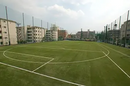 MULTI-SPORT TURF