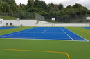 MULTI-SPORT TURF