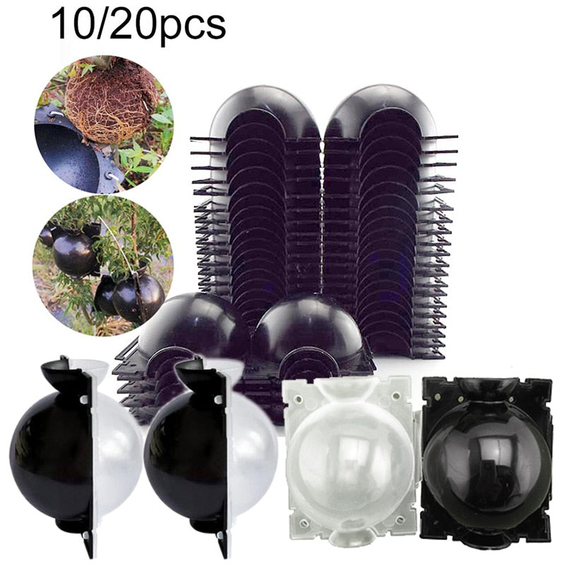 10/20pcs fruit Plant tree Rooting Ball Root box plastic case propagation Box Grafting Rooter Growing High-pressure breeding ball