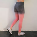 Nepoagym Women Ombre Seamless Leggings In TEAL High Waisted Yoga Pants Training Tights Gym Fitness Leggings