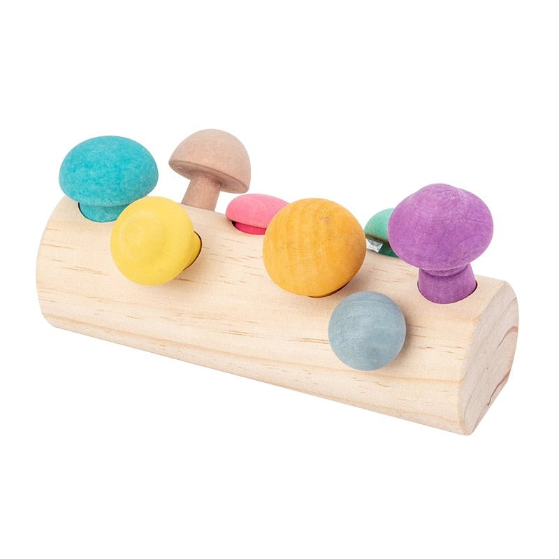 Montessori Educational Wooden Toys Training Clip Ball Sorters Toys For Children 2-6 Years Activity Board Fishing Game Baby Toys