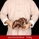 Estatua de resina de elefante elegante Feng Shui, estatuilla de riqueza de la suerte, adornos artesanales, regalo para decoración de escritorio de oficina en casa