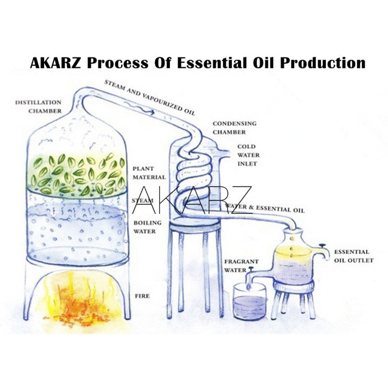 AKARZ Hots 10 Sets Sandelholz, Moschus, Lavendel, Jasmin, Rose, Patchouli, Ylang Ylang, Vanille, Eukalyptus, ätherisches Myrrheöl