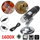 |<none>|3256803657276789