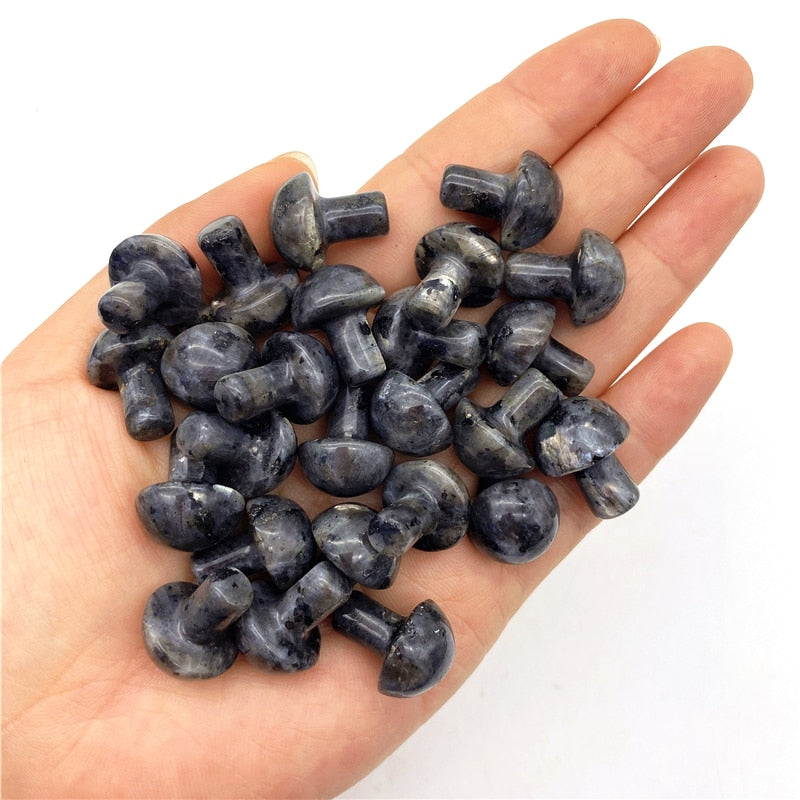 1pc Mini Natural Lapis Lazuli Rhodonite Amethyst Mushroom Quartz Crystal Hand Polished Healing Decoration Natural Quartz Crystal