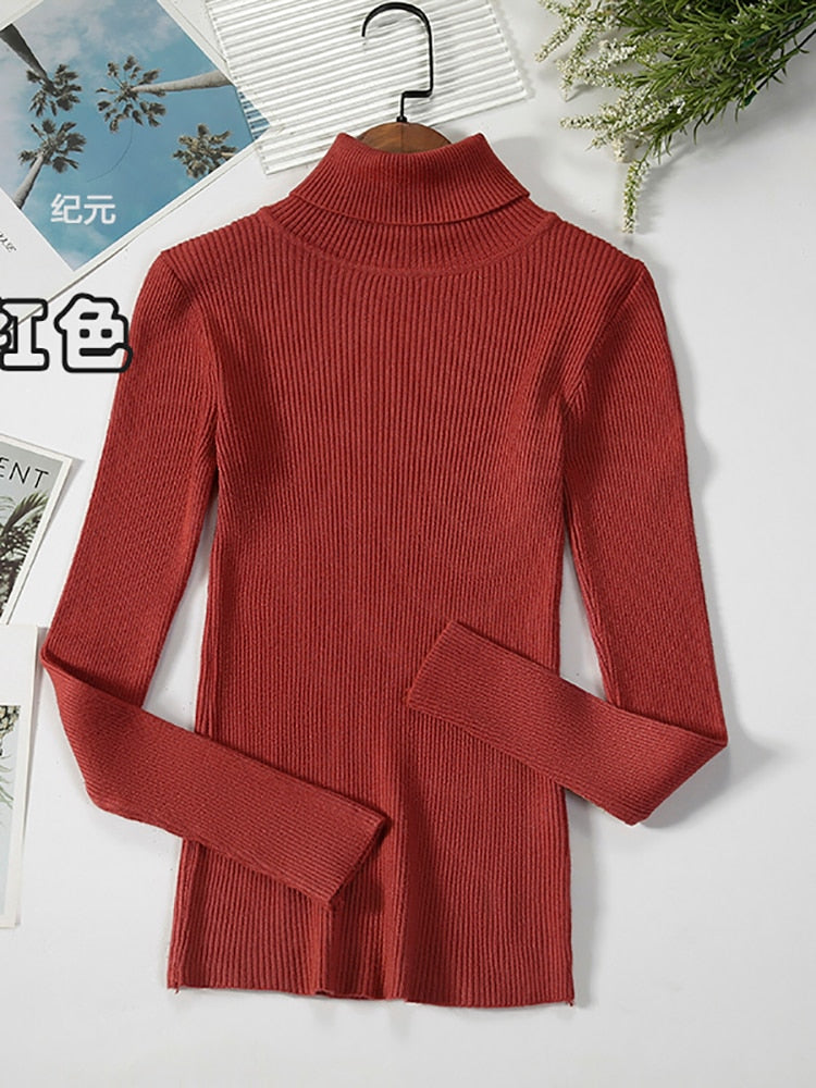 2022 Basic Turtleneck Women Sweaters Autumn Winter Thick Warm Pullover Slim Tops Ribbed Knitted Sweater Jumper Soft Pull Female
