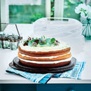 Contenedor de Transporte y Almacenamiento de Pasteles, Contenedor de Pasteles Ajustable Tupperware