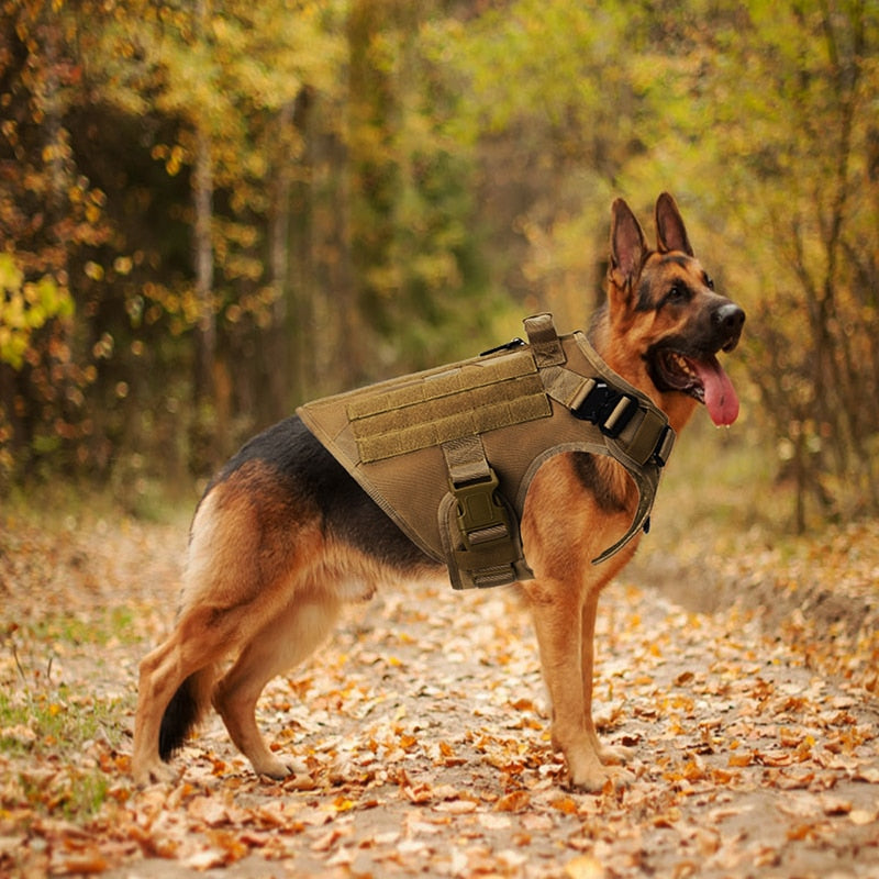 Arnés sin tirones para perros grandes, arnés táctico militar para perros, chaleco, pastor alemán, dóberman, Labrador, servicio, producto de entrenamiento para perros