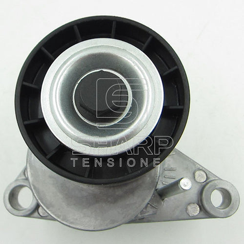 Cummins 3914086  3912248  Belt tensioner