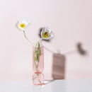 Nordic Glass Vase Small Glass Bubble Vases Flower Arrangement Home Decoration Accessories Modern Living Room Ornament