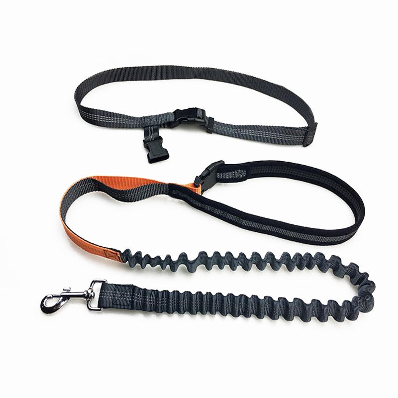 Correa para perro Cuerda para correr Manos libres Correas reflectantes para perros grandes Correa para caminar con riñonera Collar Cuerda para perros CL147