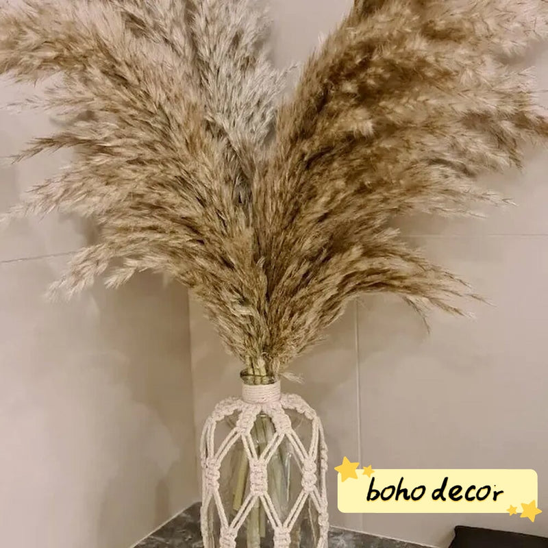 20 tallos Pompous Pampas-Grass Pampass secas Plantas Fluffy Pompas Grasses Small Pompus Short Boho Decor Longitud total 21 pulgadas / 55 cm