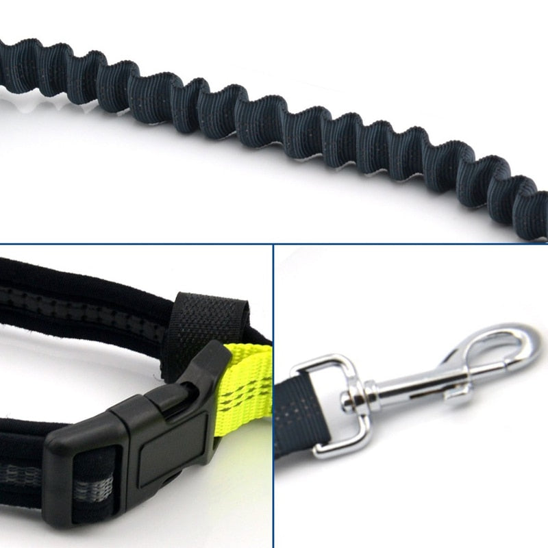 Correa para perro Cuerda para correr Manos libres Correas reflectantes para perros grandes Correa para caminar con riñonera Collar Cuerda para perros CL147