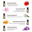 AKARZ Flower Serie 10 Sets Lavender Jasmine Rose Ylang Neroli Frangipani Lotus Peony Osmanthus Violet Essential Oil