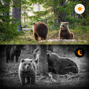 24MP 1080P Video  Wildlife Trail Camera Photo Trap Infrared Hunting Cameras HC802A Wildlife Wireless Surveillance Tracking Cams