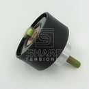 APV1042 VKMCV52007 Fits for Tensioner Pulley, v-ribbed belt