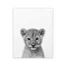 Baby Lion Print Wildlife Animal Black White Photography Poster Kids Quote Scandinavian Art Canvas Painting Home Decor