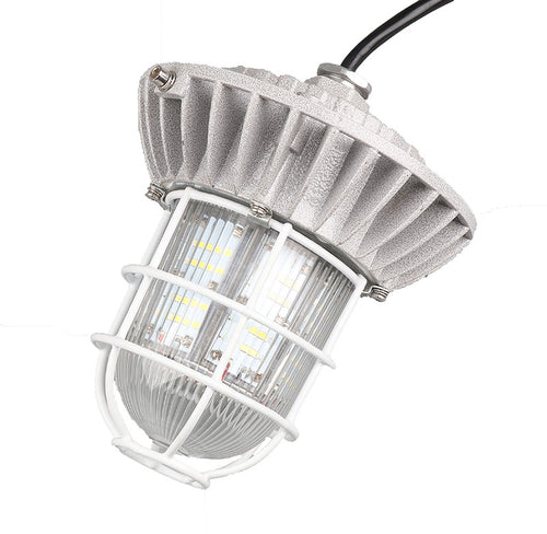 Explosion proof flameproof lamp lighting fixture Exd IIBT4